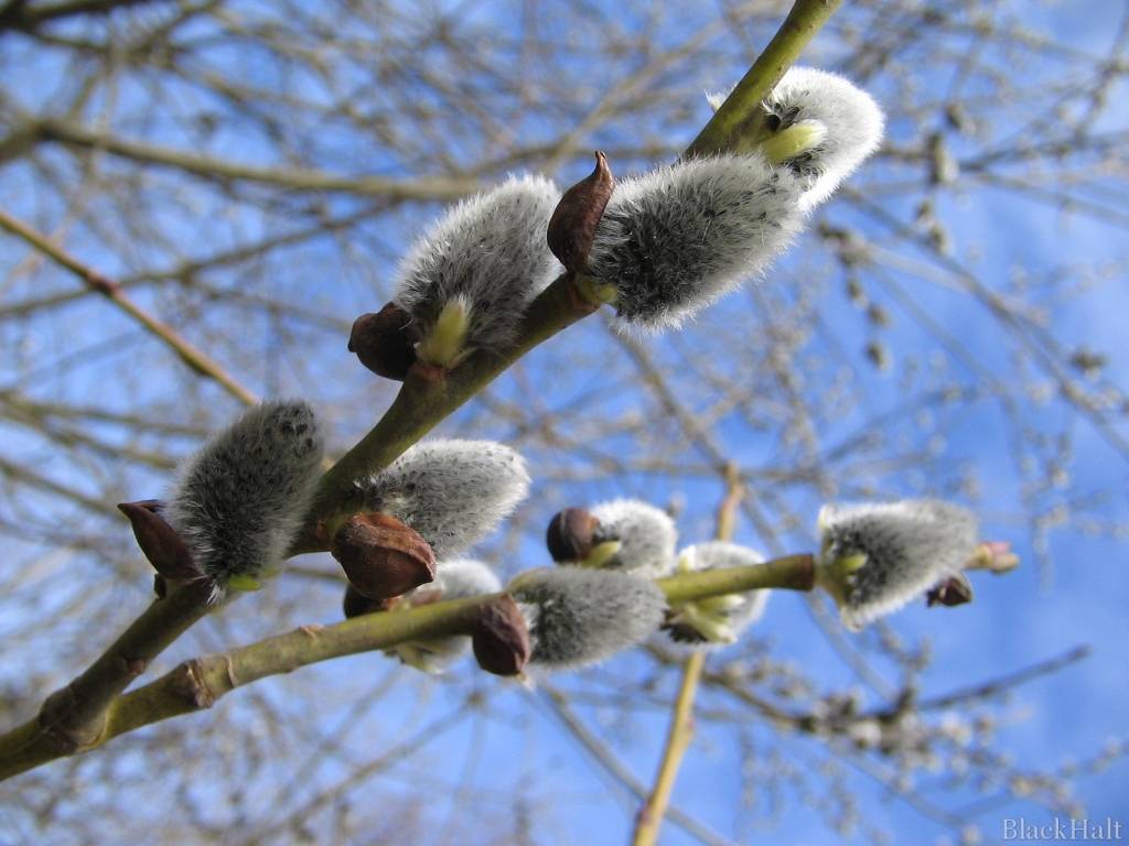 Autors: Publicitātes foto