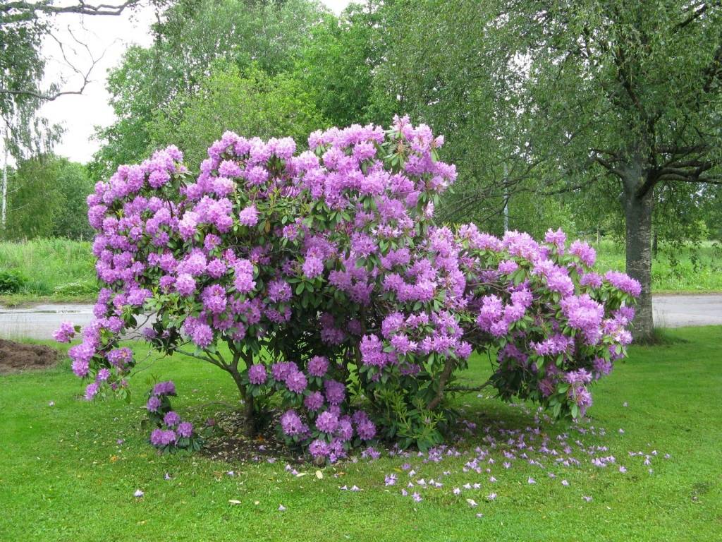 Autors: No www.supermama.lt