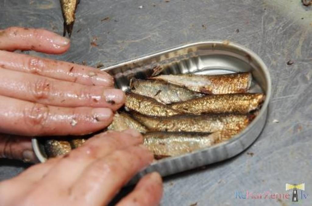 Autors: Dainis Ģelzis