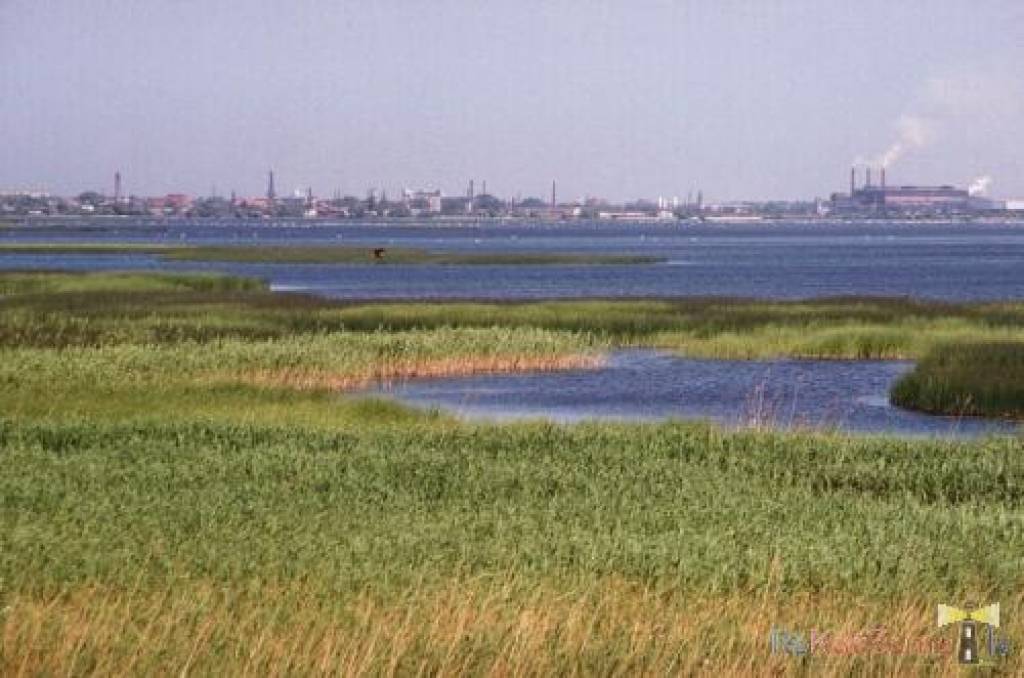 Autors: Dainis Ģelzis