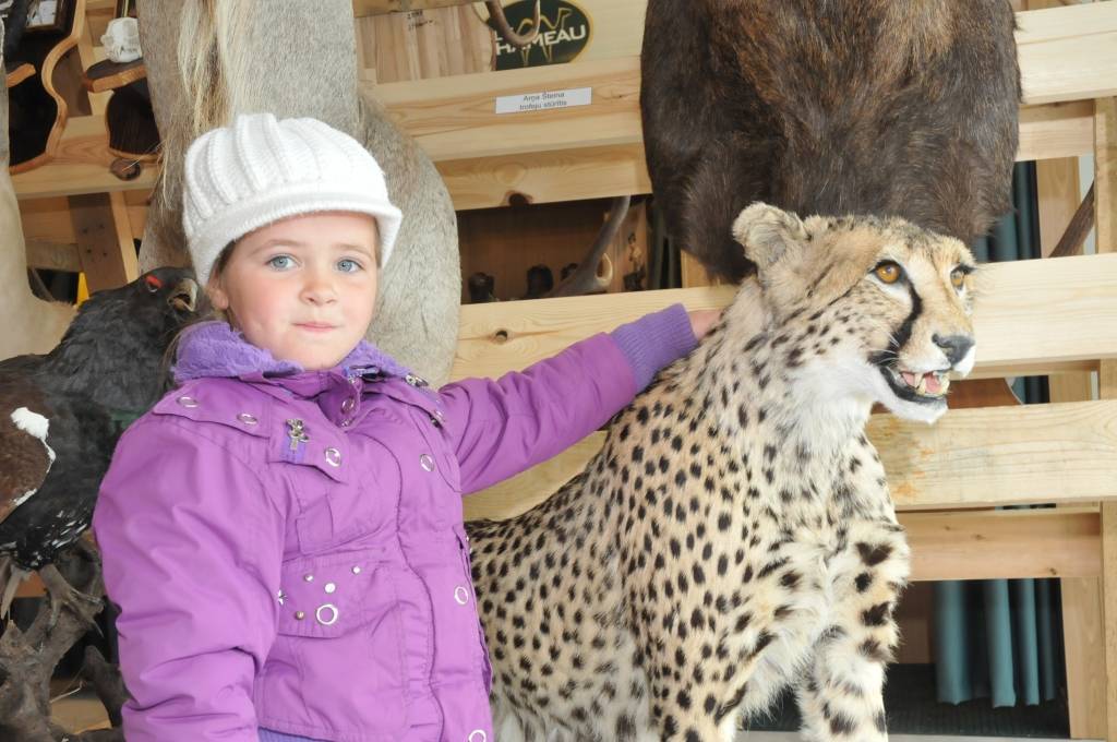 Autors: Dainis Ģelzis