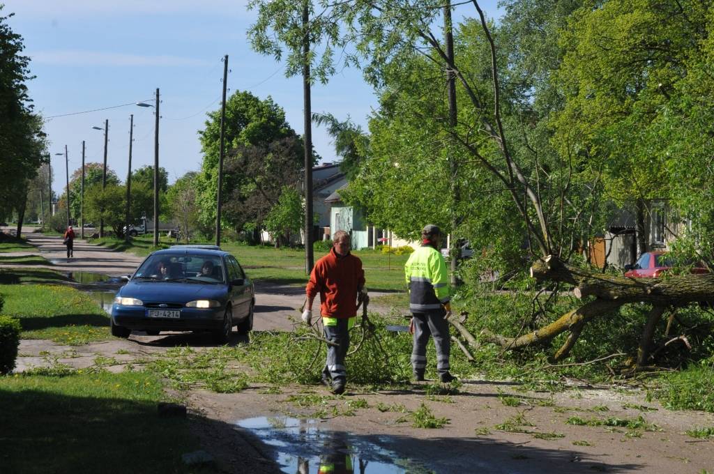 Jau tiek nojauktas divas mājas, kas ir Zirņu un Salmu ielu krustojumā, sākta koku izzāģēšana un virskārtas noņemšana Zirņu ielā. Tiks demontēts ielu apgaismojums. Rakšanas darbi pie Jaunās ielas pa veco dzelzceļa uzbērumu gatavo Zirņu...
Autors: Ilze Vainovska