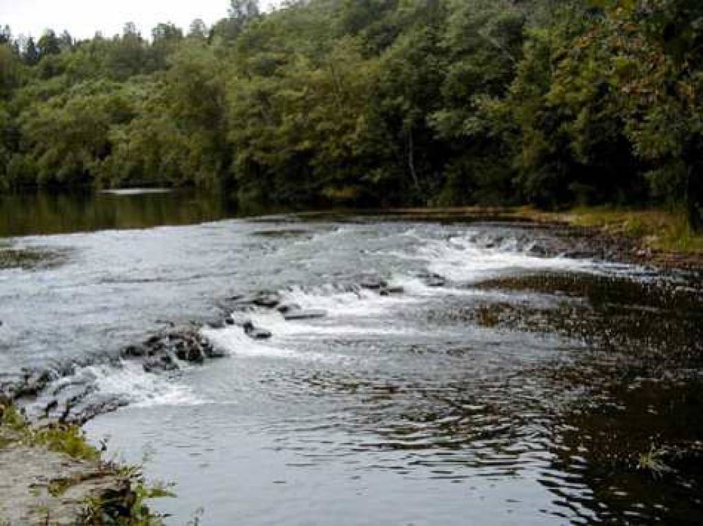 Autors: www.talsi.lv