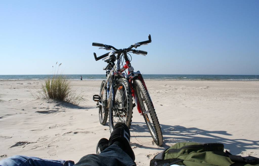 Autors: Aigars Štāls