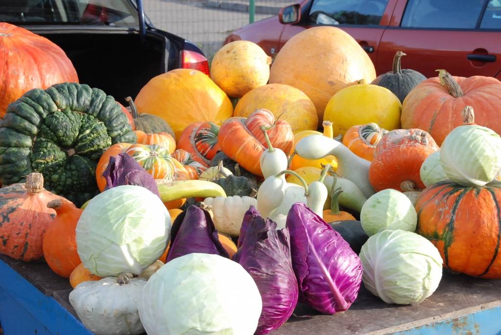 Autors: Dainis Ģelzis