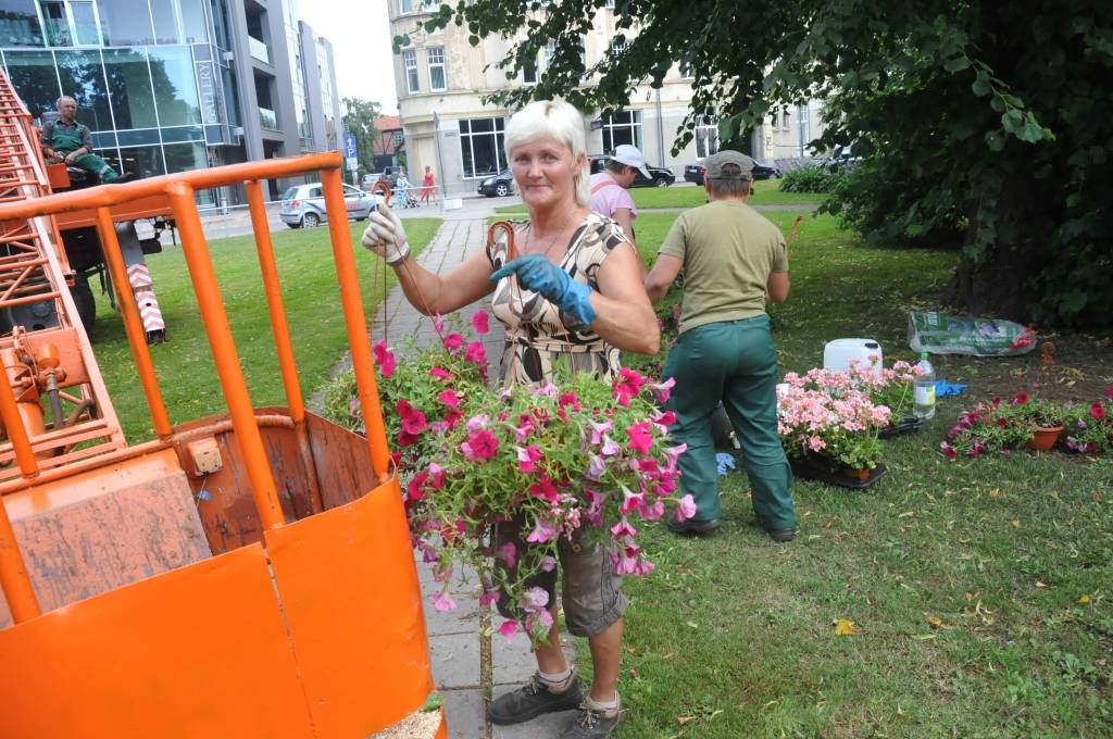 Autors: Dainis Ģelzis