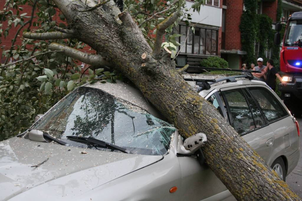 Autors: Uldis Dobelis