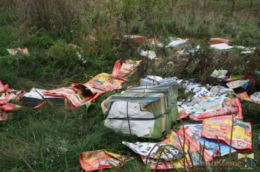 Autors: Uldis Dobelis