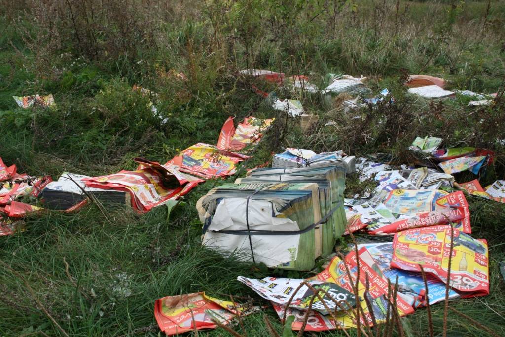 Autors: Uldis Dobelis