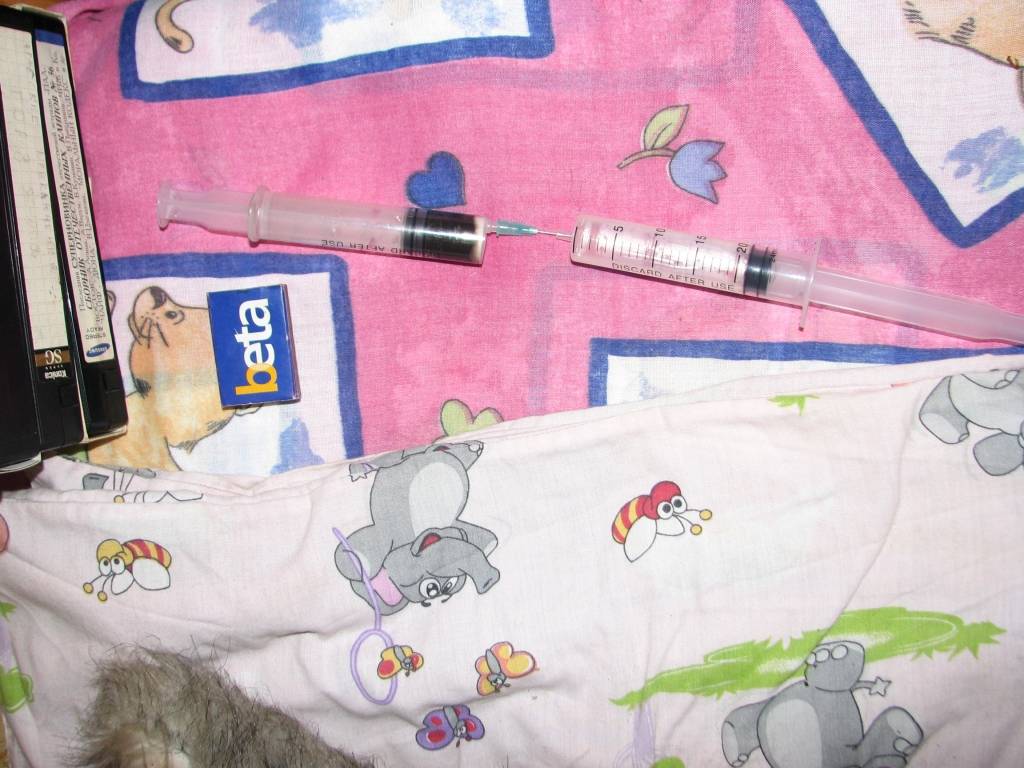 Autors: Policijas foto