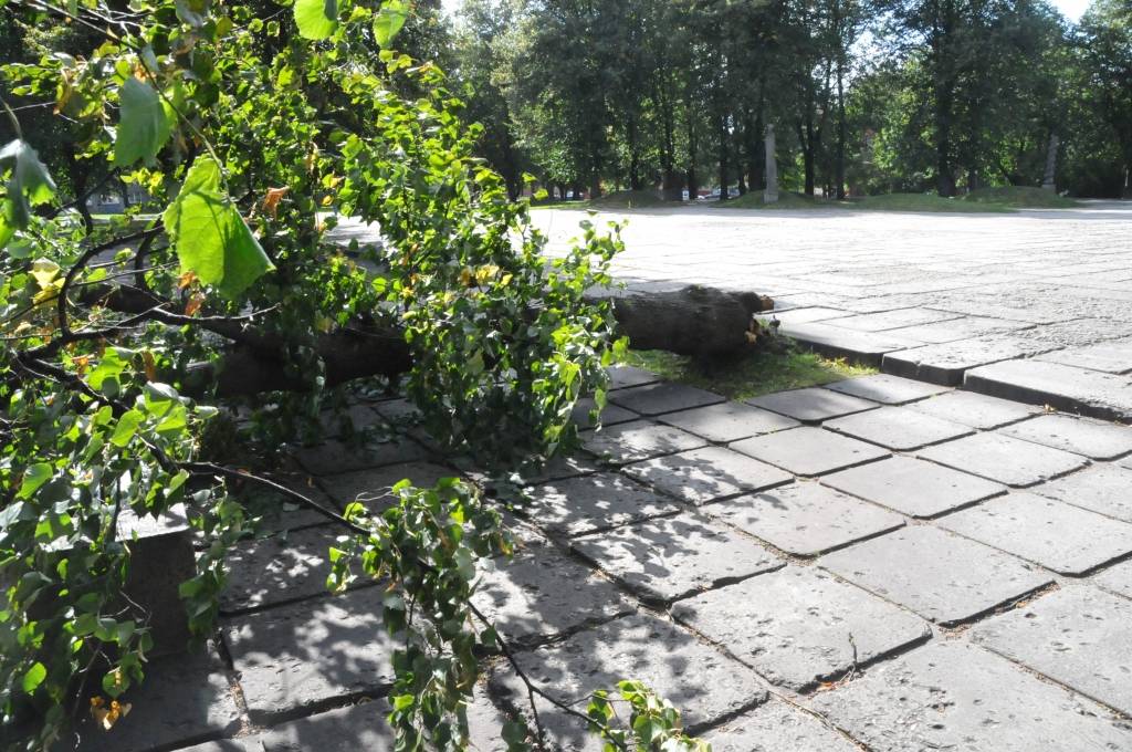 Autors: Dainis Ģelzis