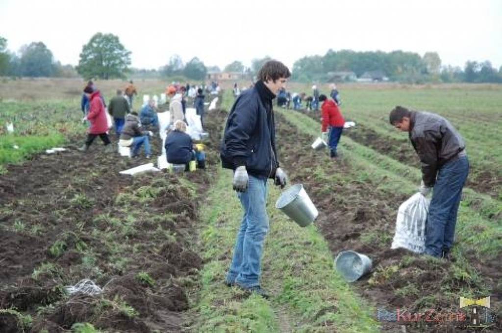 Autors: Dainis Ģelzis