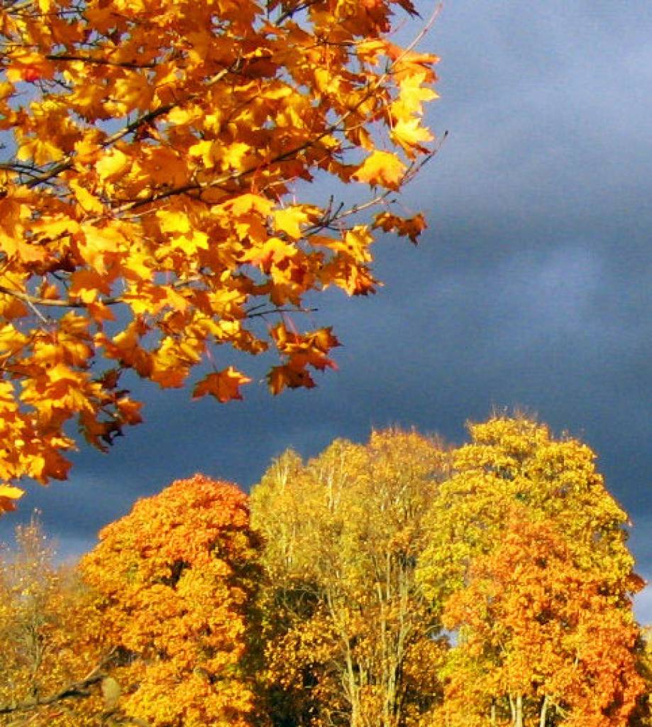 Autors: Publicitātes foto