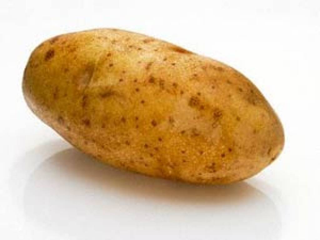 Autors: www.apollo.lv