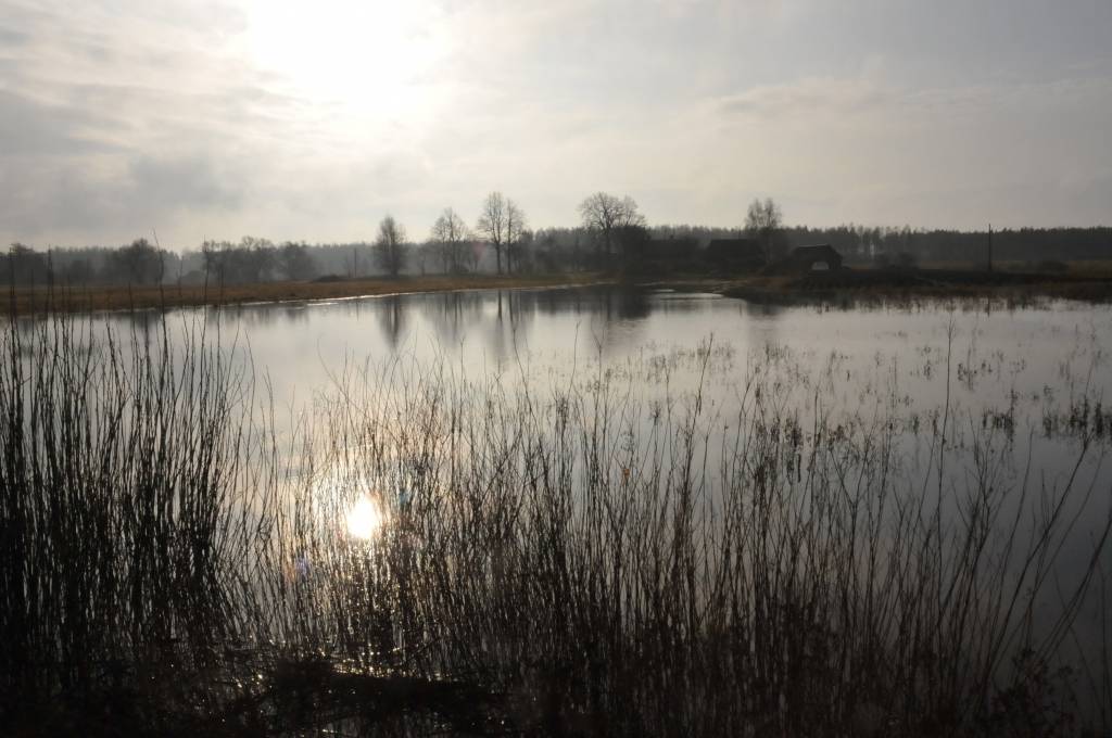 Autors: Dainis Ģelzis