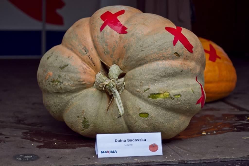 Autors: Publicitātes foto