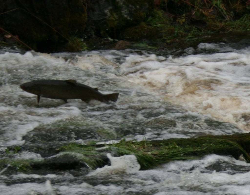 Autors: foto no www.visitligatne.lv