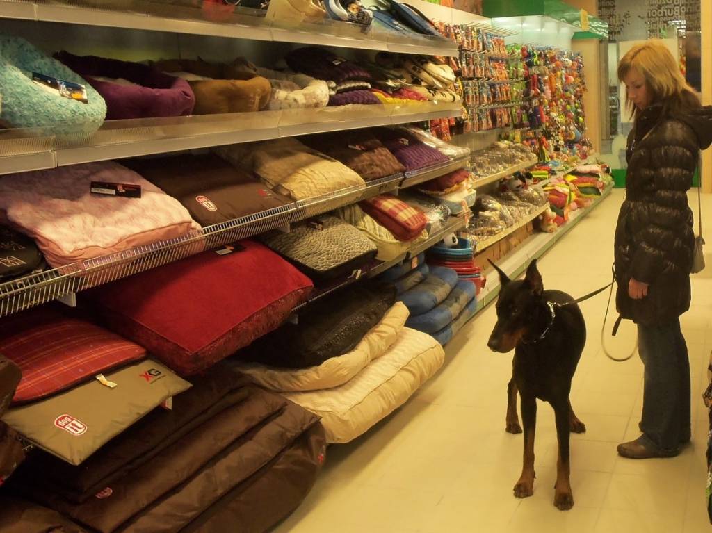 Autors: publicitātes foto