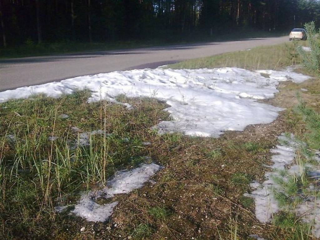 Autors: Publicitātes foto