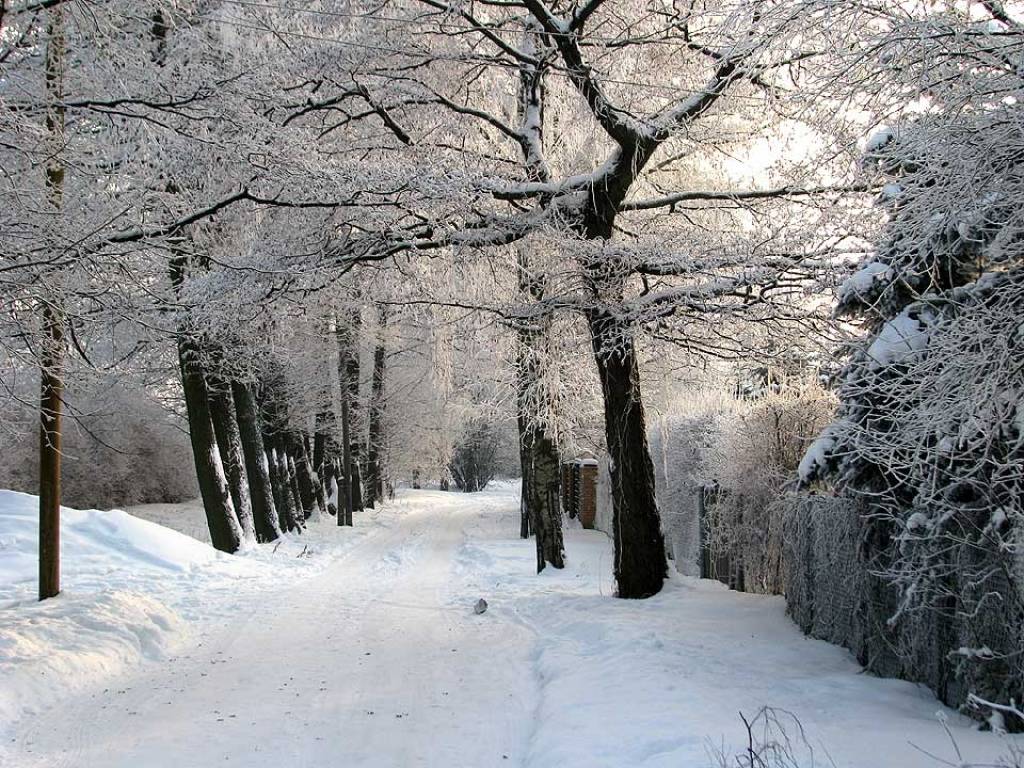 Autors: Publicitātes foto