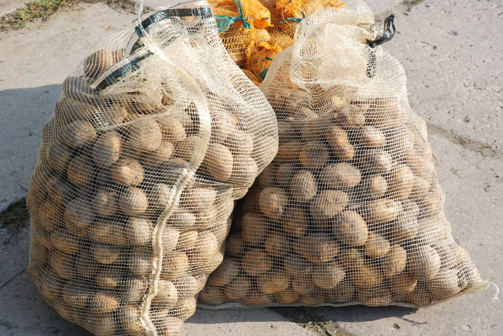 Autors: DAINIS ĢELZIS