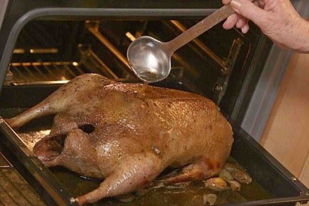 Autors: Publicitātes foto