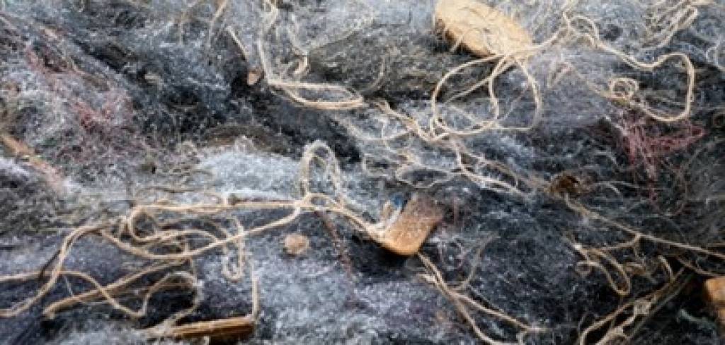 Autors: www.apollo.lv