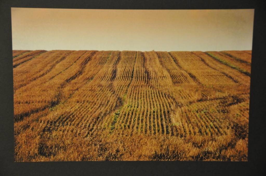 Liepājas Latviešu biedrības nama galerijā skatāma fotostudijas 