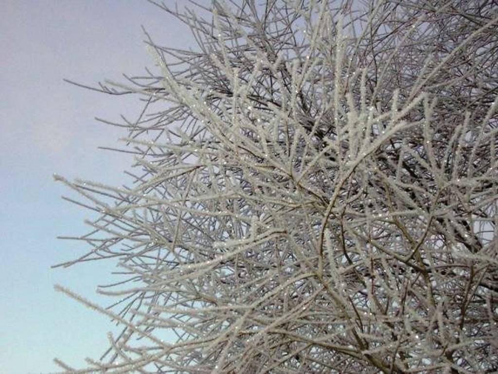 Autors: Publicitātes foto