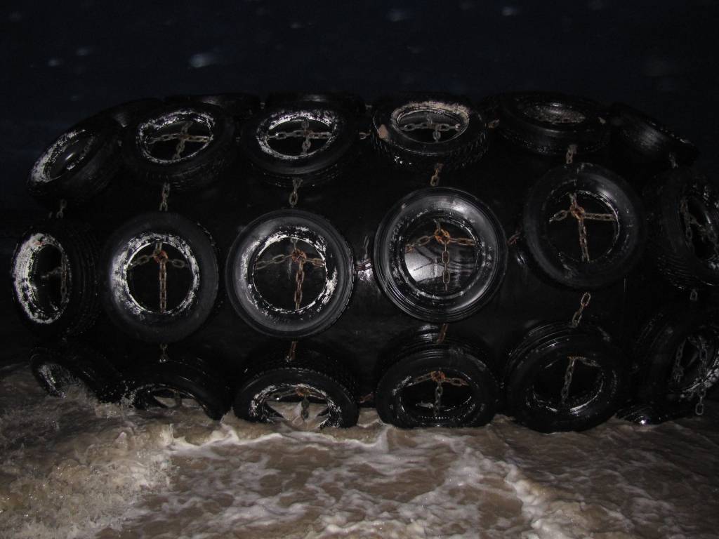 Autors: Daina Vītola