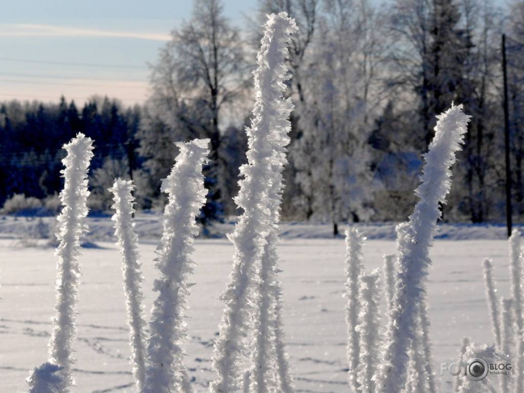 Autors: fotoblog.lv