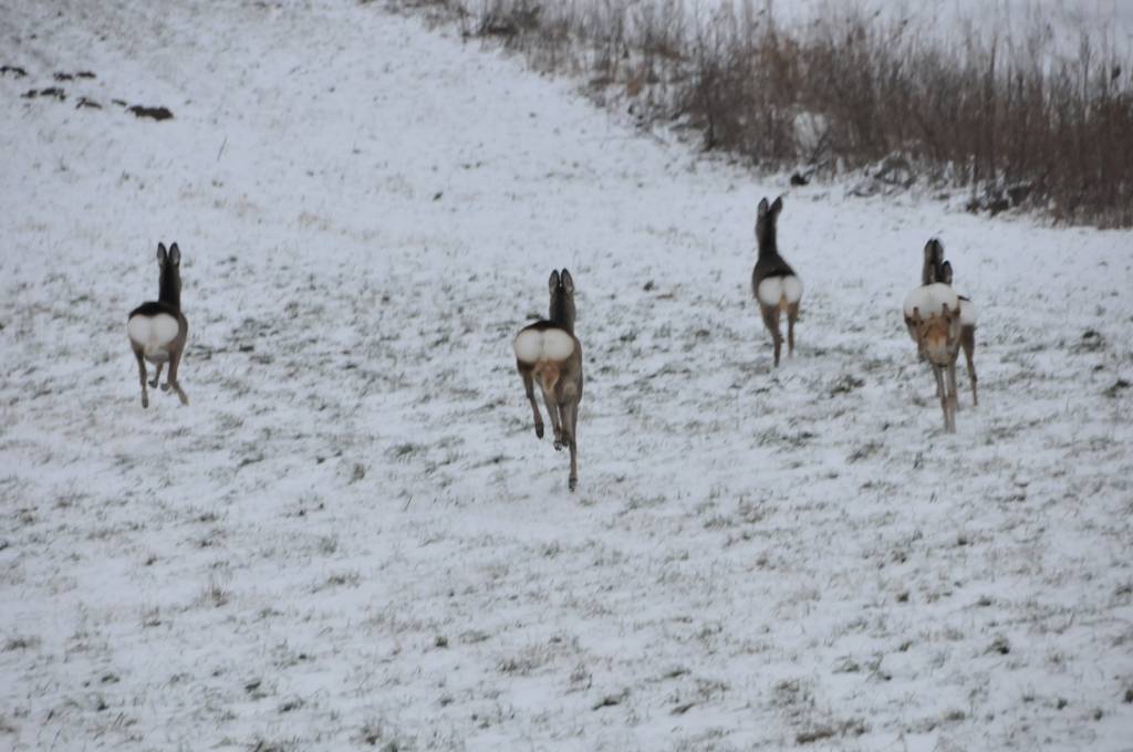 Autors: ReKurZeme, portāls