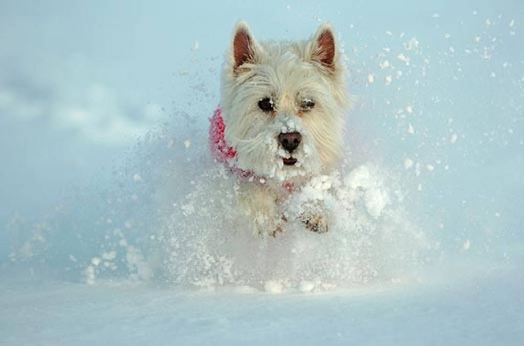 Autors: Publicitātes foto