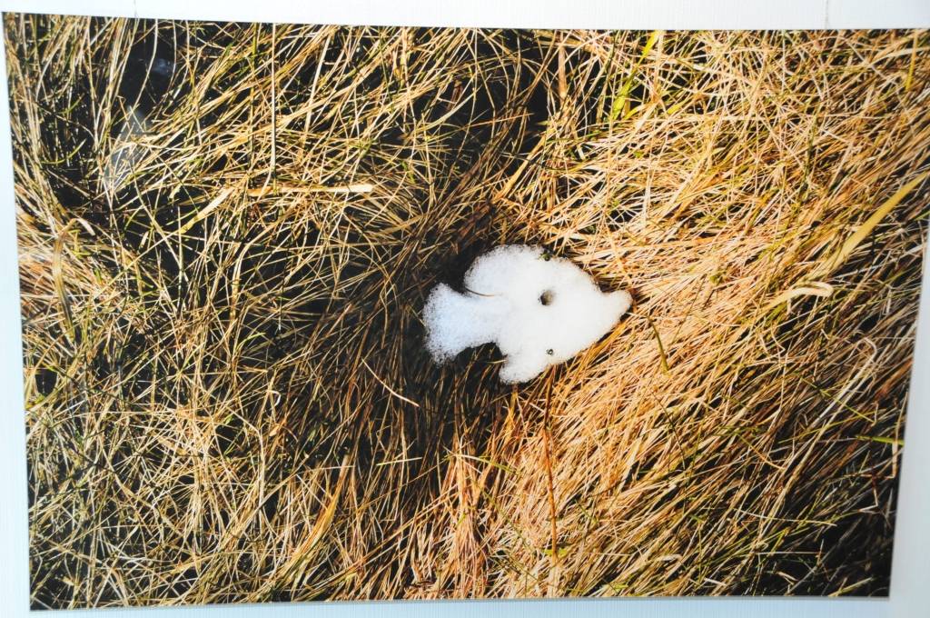 Liepājā AS “UPB” izstāžu galerijā līdz 14. jūnijam būs apskatāma fotogrāfa Jāņa Deinata personālizstāde “Paliek II”. Fotoizstādē aplūkojamie darbi tapuši laikā, kad fotogrāfs devies pastaigās dabā. Ar smalki niansētiem dabas vērojumiem...
Autors: ReKurZeme, portāls