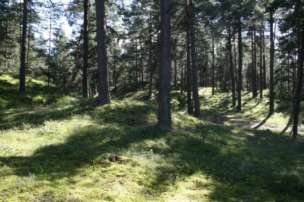 Autors: Publicitātes foto