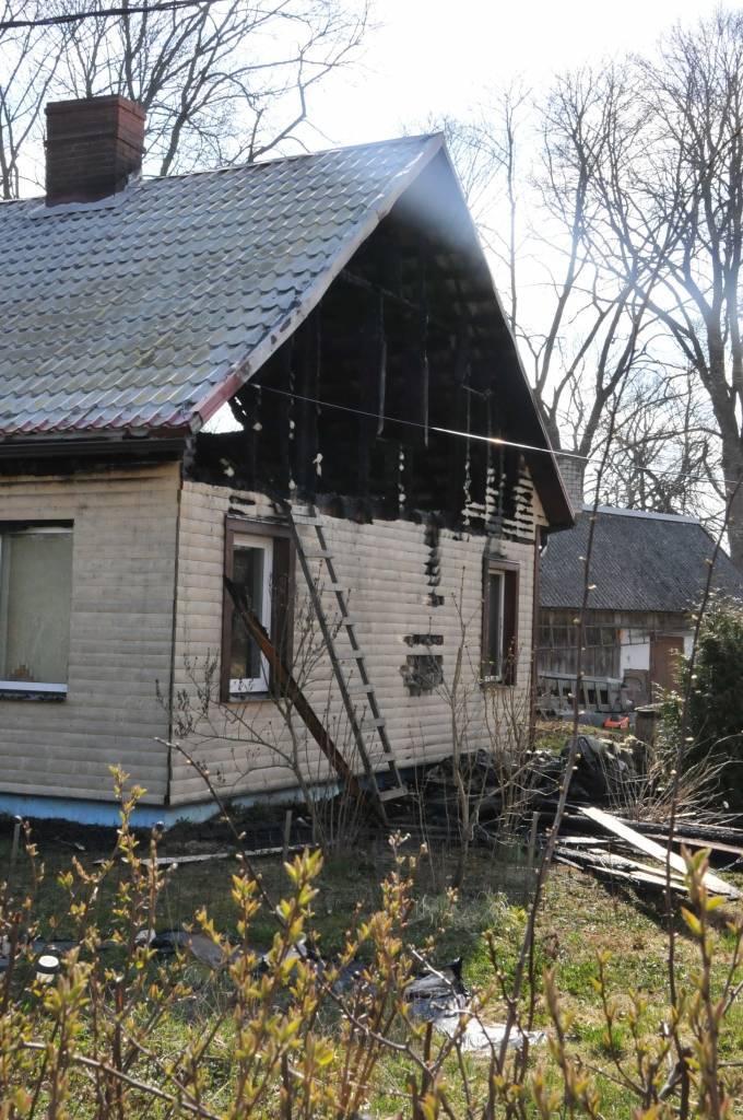 Autors: Dainis Ģelzis