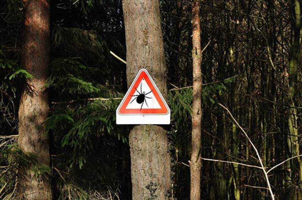 Autors: FOTO: shutterstock