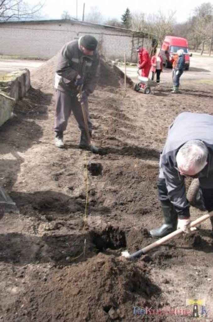 Šajā mājā dzīvoju jau sešus gadus, un kurš nevēlas dzīvot sakoptā mājā un sakoptā vidē. 2010.gadā mājas sapulcē nolēmām, ka varam par mājas
apsaimniekošanu piemaksāt 0.10ls par m2.Tas mums deva iespēju mājai salabot jumtu, nomainīt...