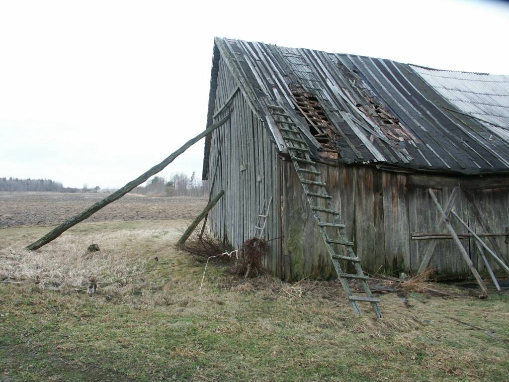 Autors: Dainis Ģelzis