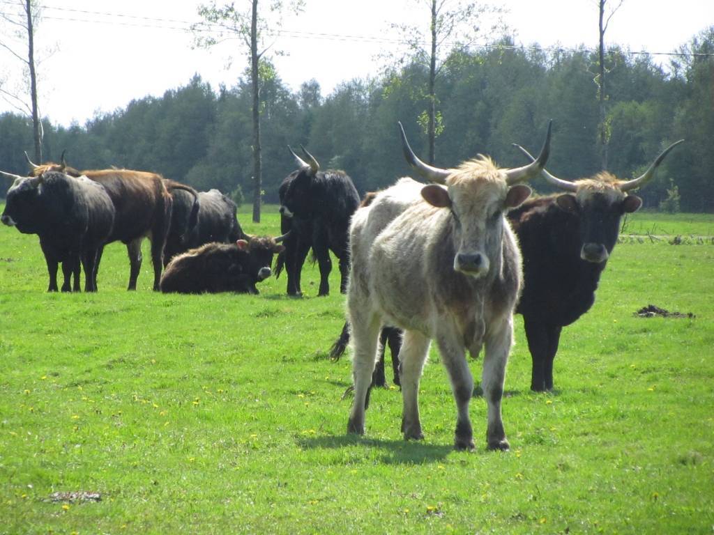 Autors: Organizatoru foto