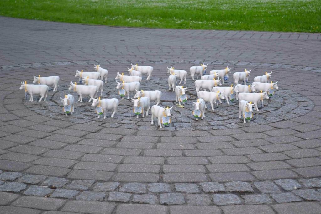 Autors: Publicitātes foto