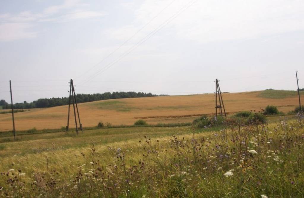 Autors: Publicitātes foto