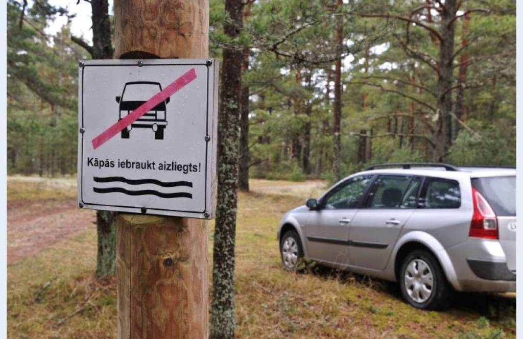 Autors: Raitis Puriņš, Dienasmediji