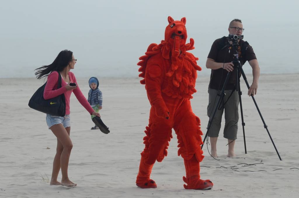 Autors: Uldis Dobelis