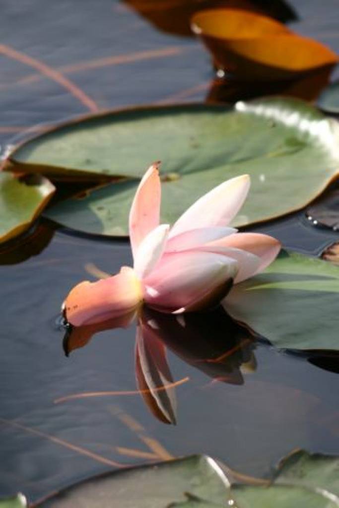 Autors: Daiga Možeika