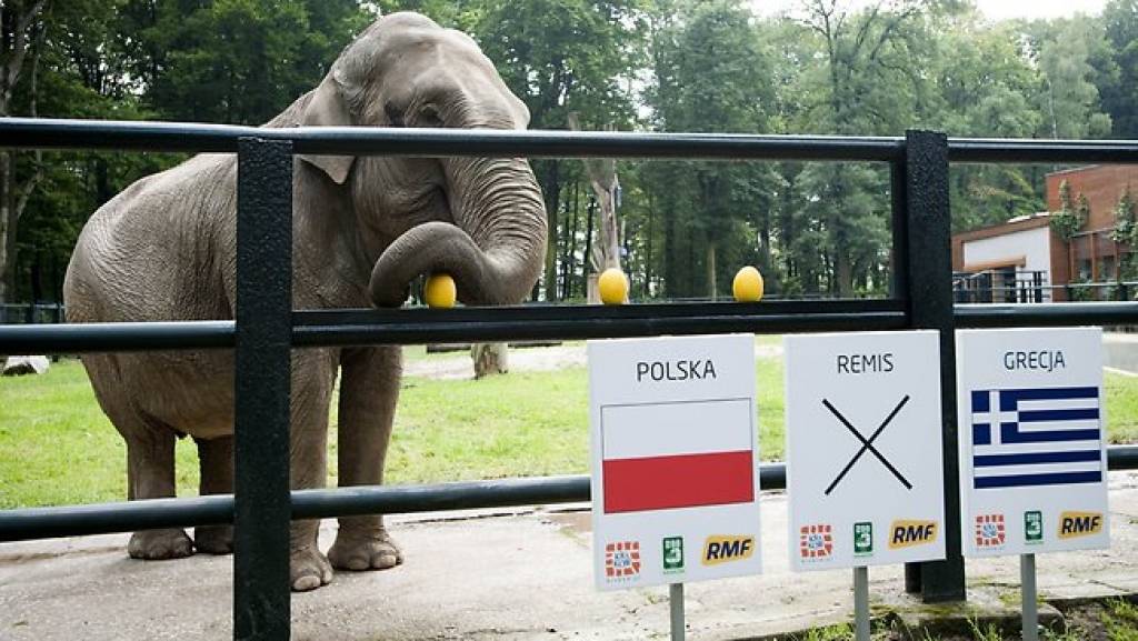 Autors: Publicitātes foto