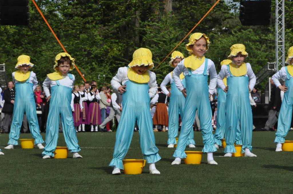 Aluksniesiem.lv raksta attēla aizvietotājs