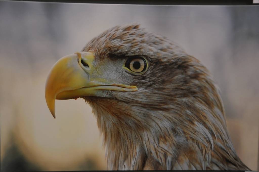 Liepājas Latviešu biedrības namā skatāma fotoizstāde 