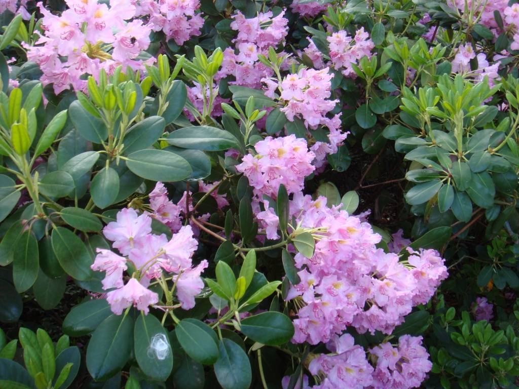 Autors: Publicitātes foto