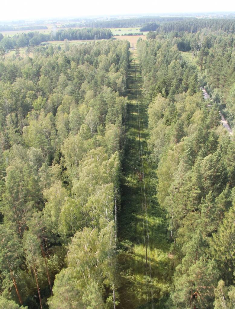 Autors: Publicitātes foto